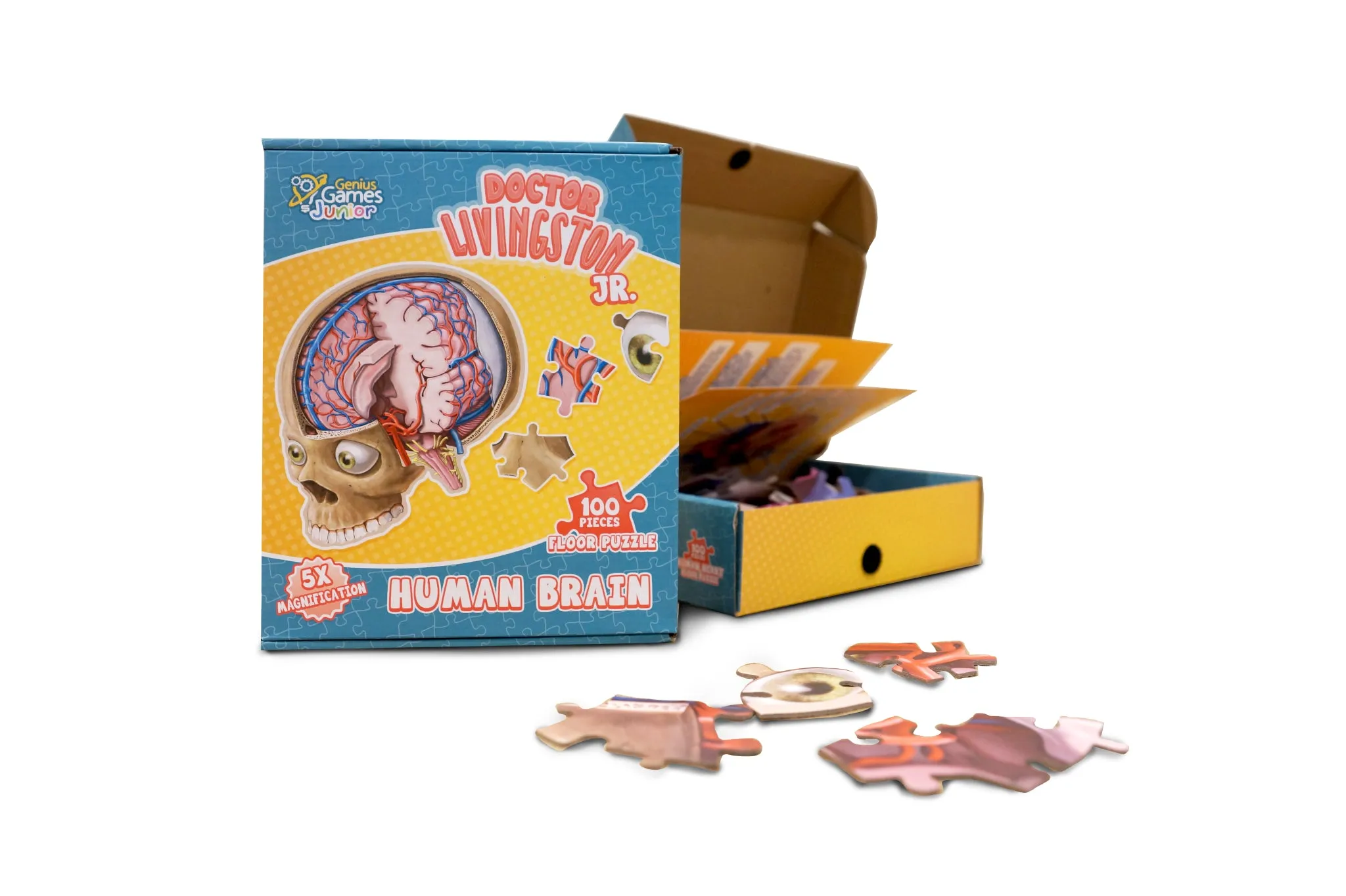 Bundle - Kid's Anatomy Puzzles - Brain, Heart, and Full-Body Floor Puzzles | Great Science Gift Ideas for Kids