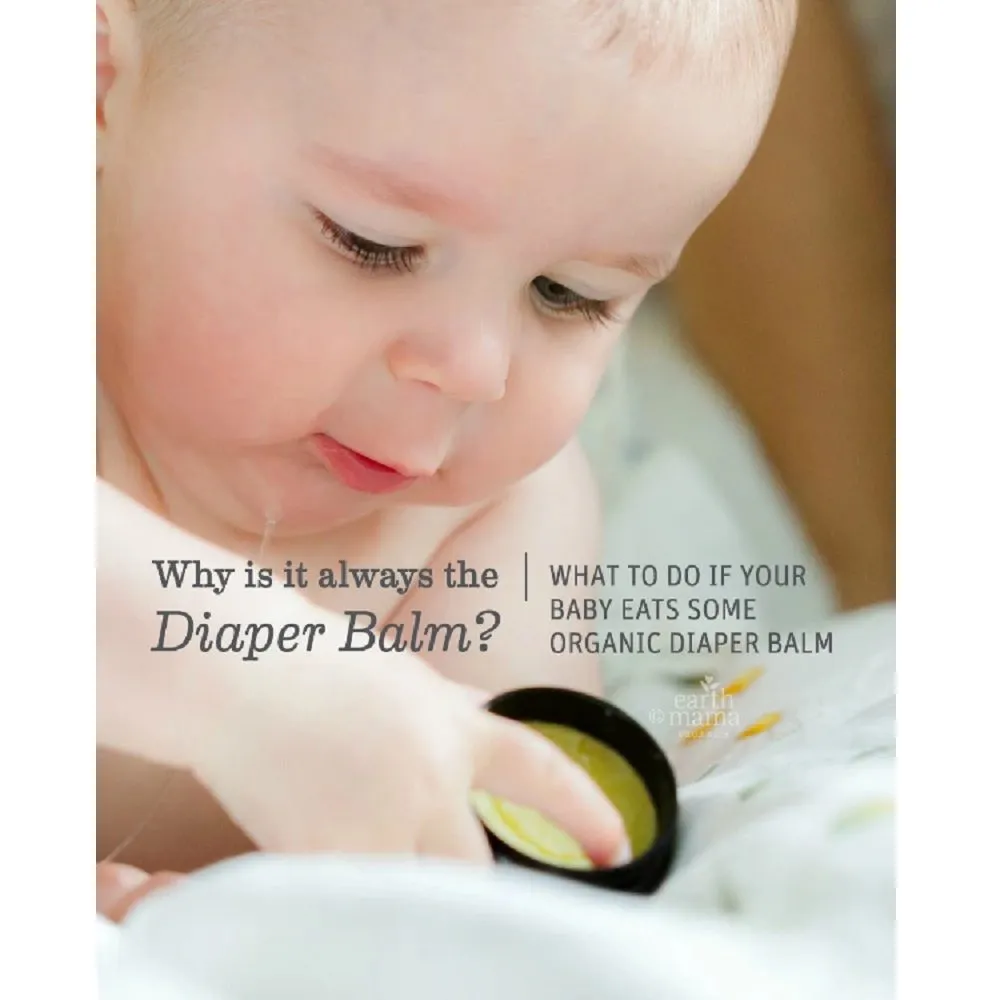 Earth Mama Organic Diaper Balm -2 fl. oz./60ml