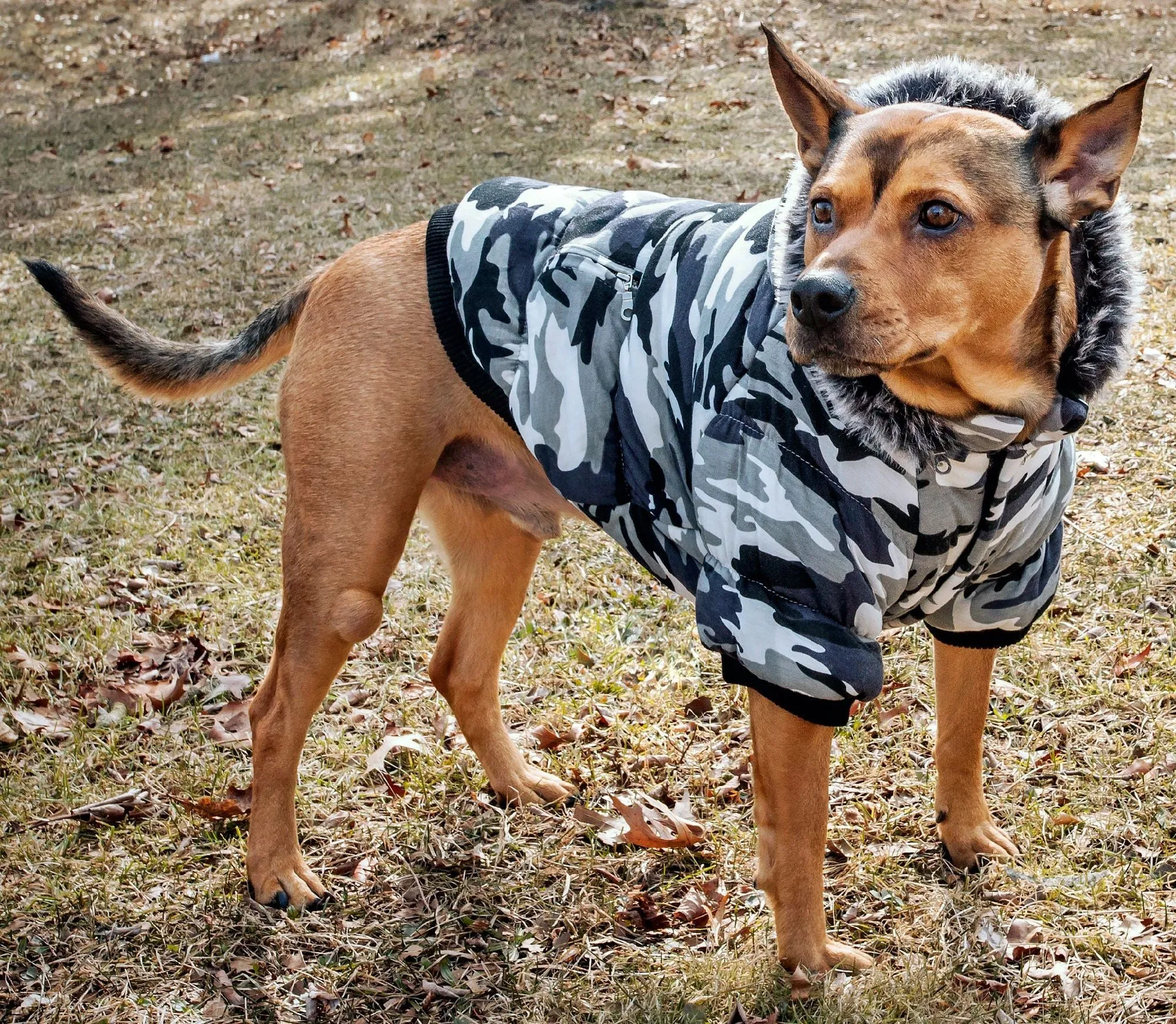 Pet Life Camo Dog Parka with Removeable Hood