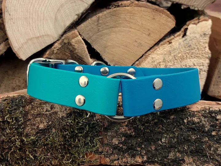 Teal & Turquoise Waterproof Collar